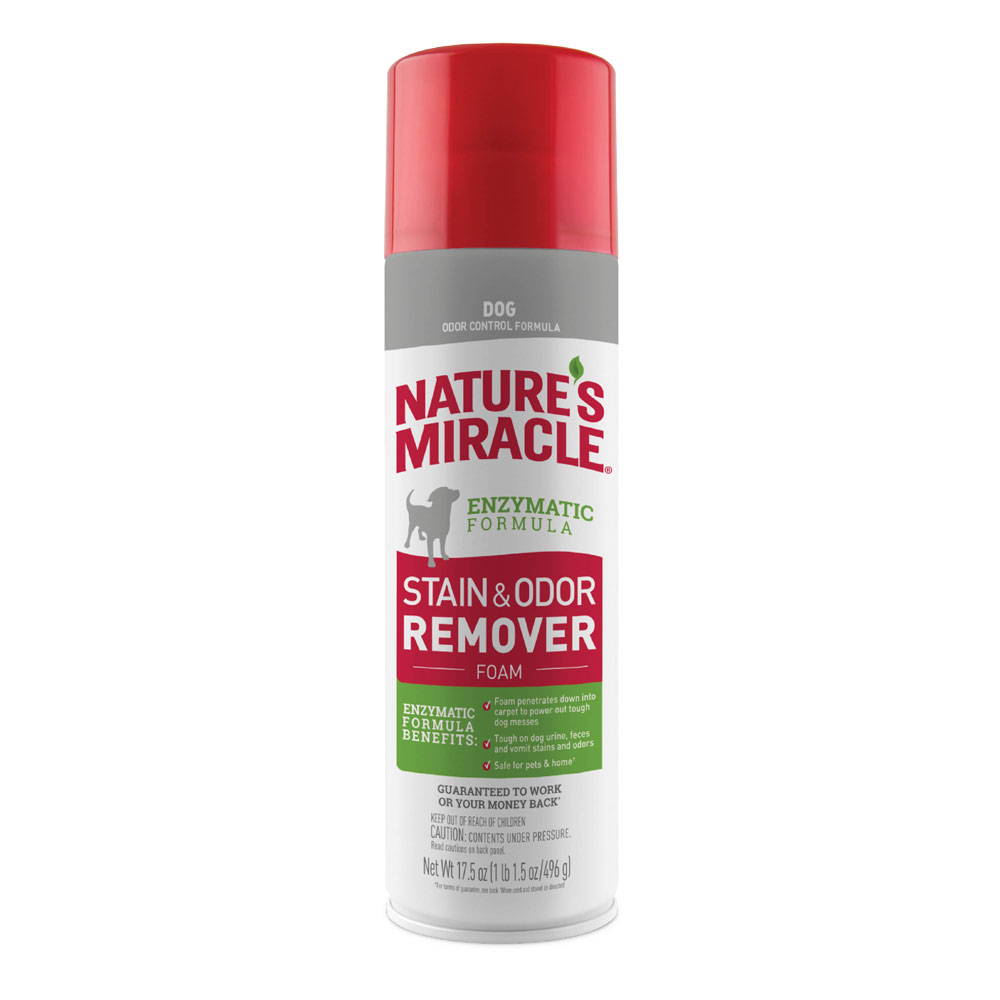 Stain and Odor Remover for Dogs Nature s Miracle